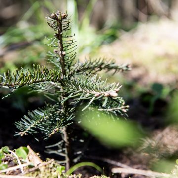 Společně odpovědně a udržitelně | CSR Kulatý stůl